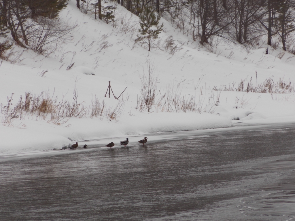 DSCN5064.JPG