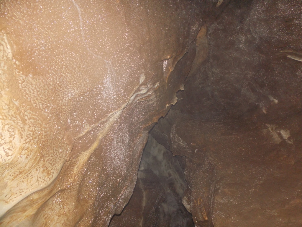 DSCN5039.JPG