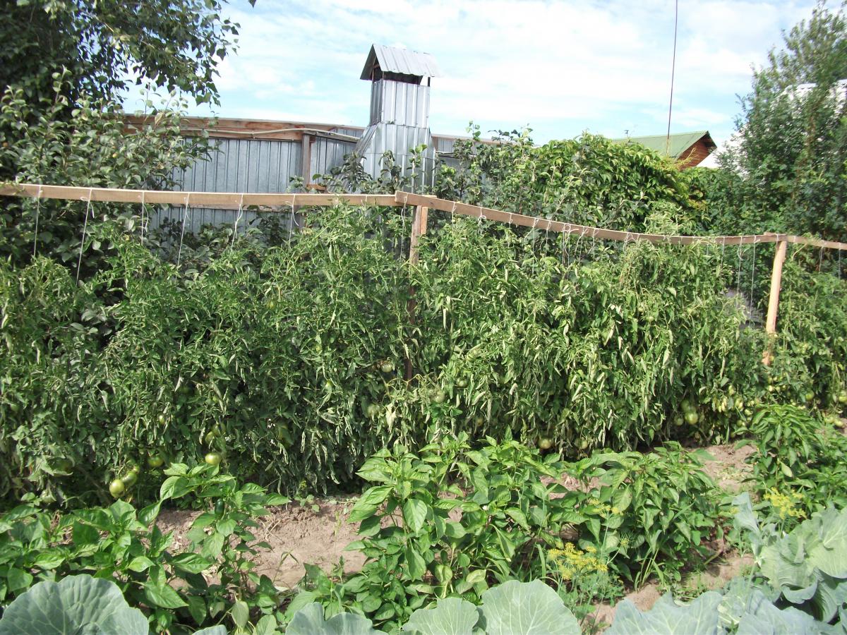 DSCF3441.JPG