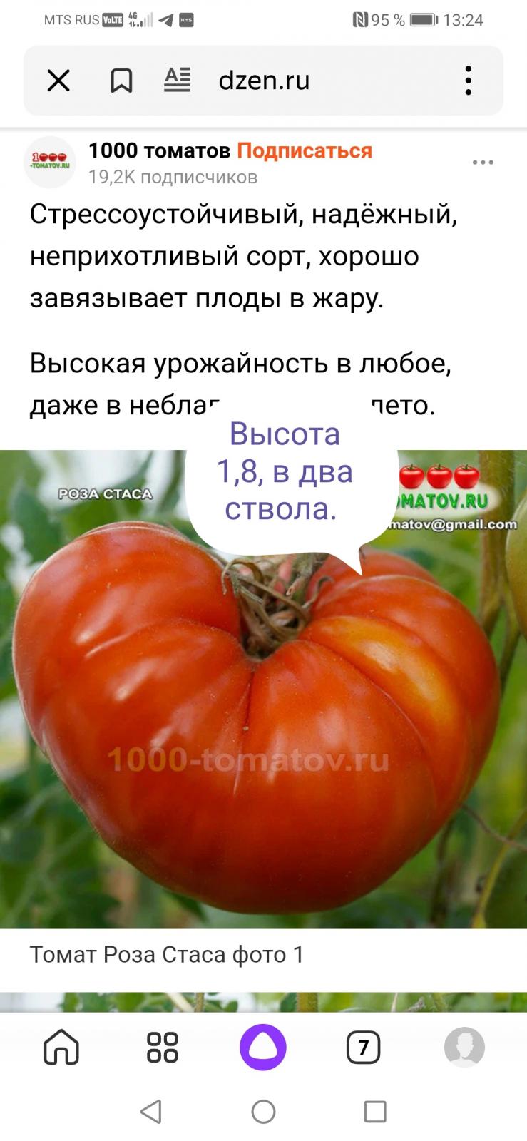 Screenshot_20230318_132545.jpg