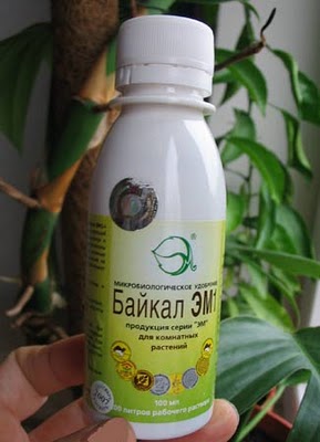 Байкал ЭМ1.jpg