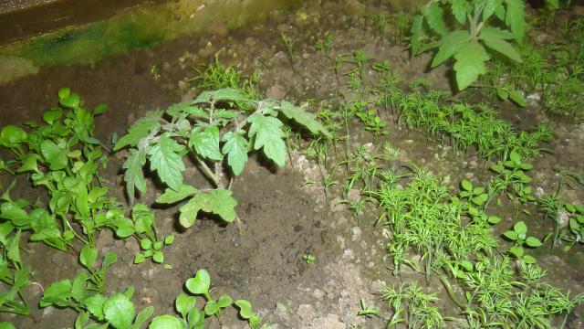 DSC03888.JPG