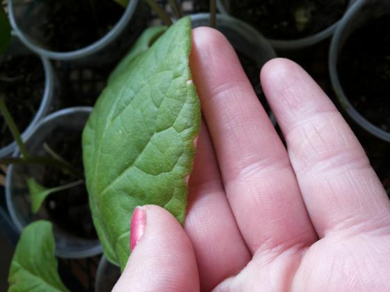 20140426_100835.jpg