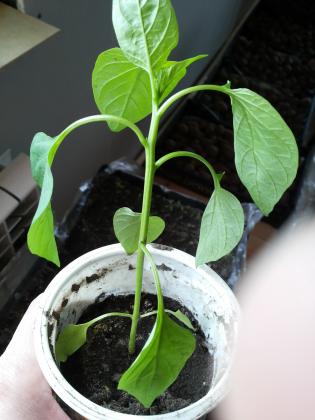 20140426_101240.jpg
