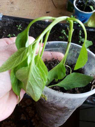 20140426_100937.jpg