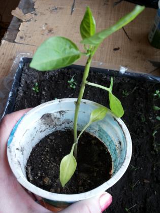 20140426_101945.jpg