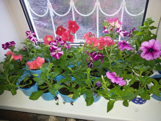 20140430_203557.jpg