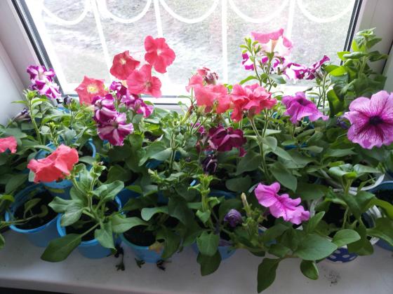 20140430_203543.jpg