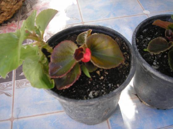 P1010015.JPG