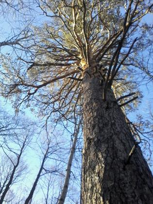 20150412_183456.jpg