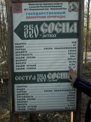20150412_182943.jpg