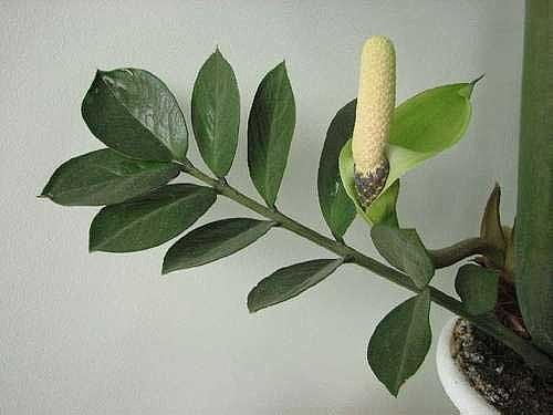 image (14).jpg