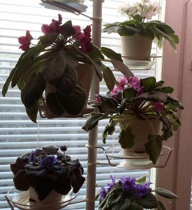 2016-04-29 08.34.27.jpg