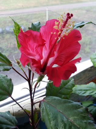 20160420_063556.jpg