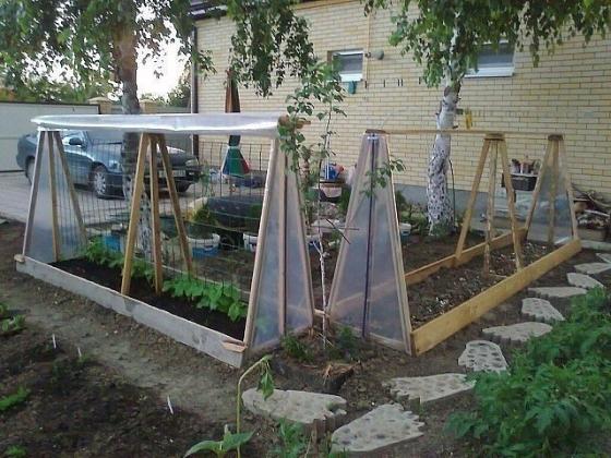 image (82).jpg