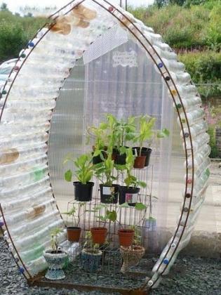 image (84).jpg