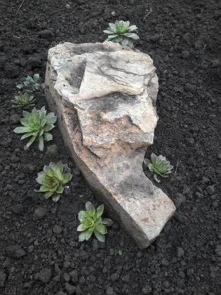 20170418_095642.jpg