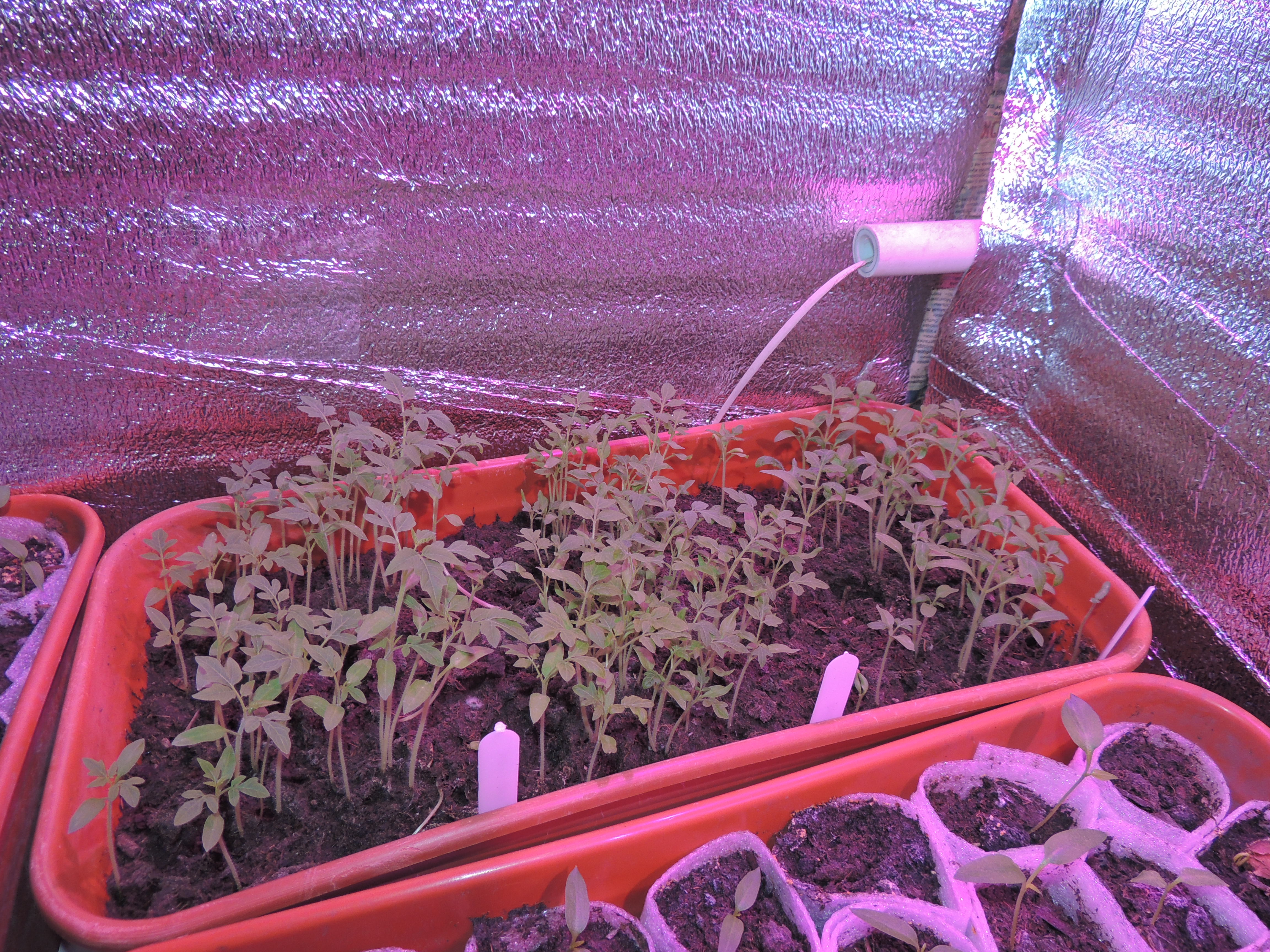 DSCN6210.JPG