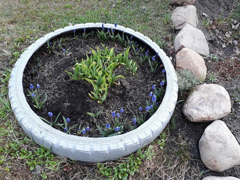 20190427_171050-800x600.jpg