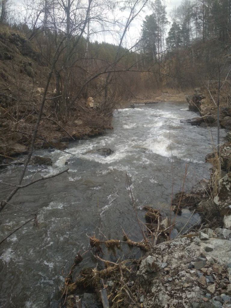 IMG_20190421_133533.jpg