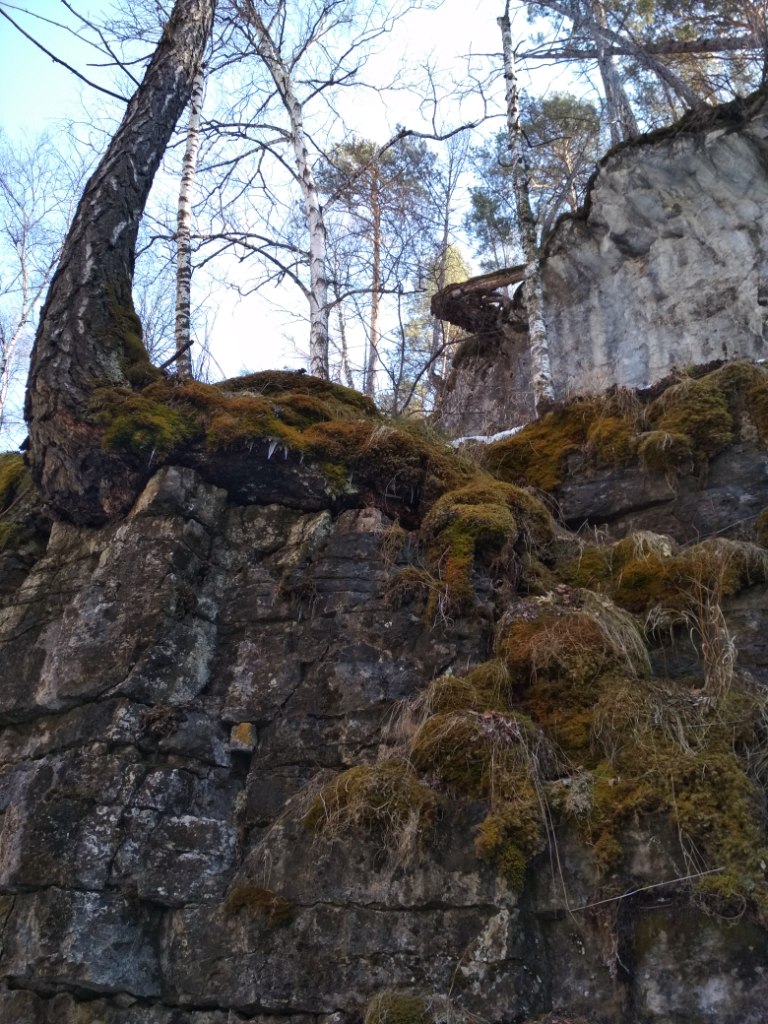 IMG_20190407_145656.jpg
