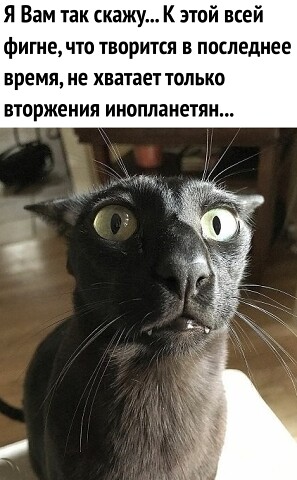 image (80).jpeg