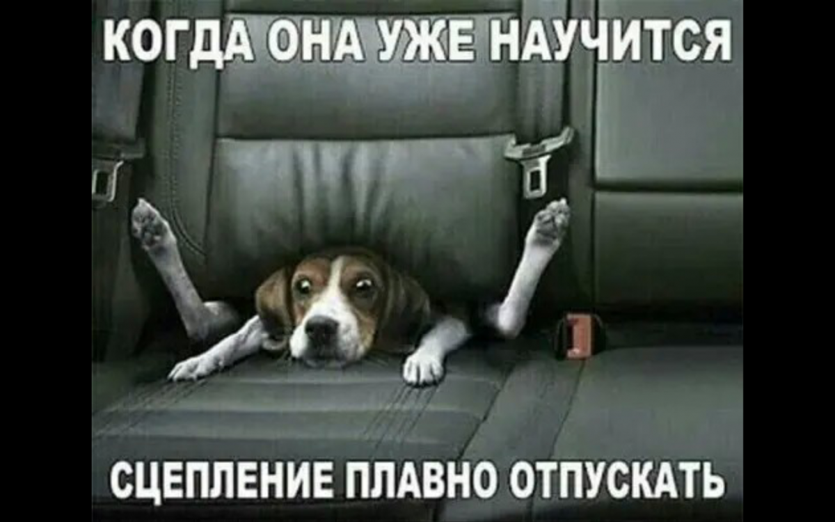 Screenshot_2021-04-01-18-36-33.png