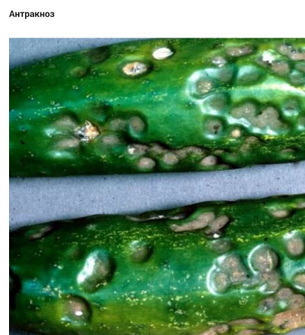 image (60).jpeg