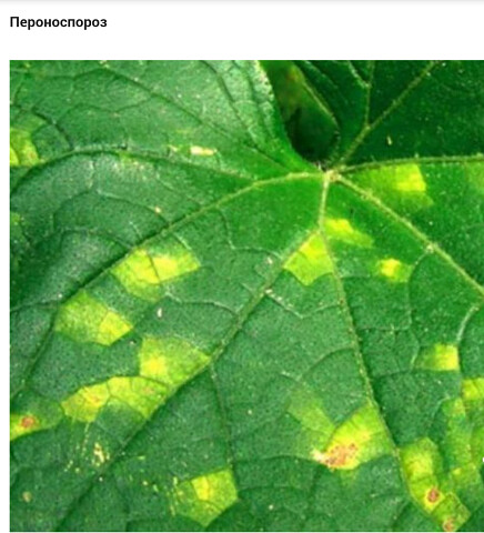 image (7).jpeg