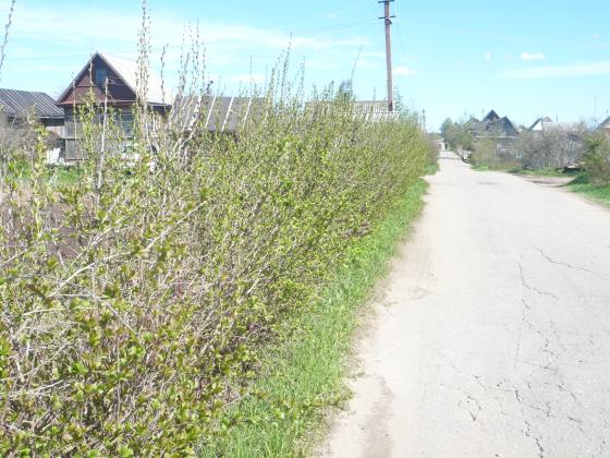 P1060263.JPG