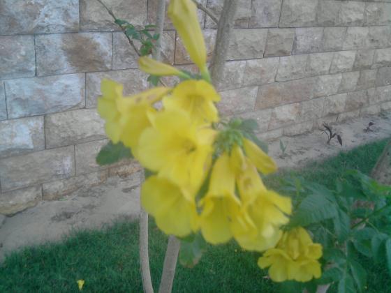 P131010_18.15.jpg