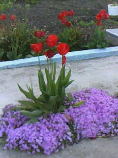 0_6d24c_af654367_L.jpg