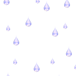 a926001b7424.gif