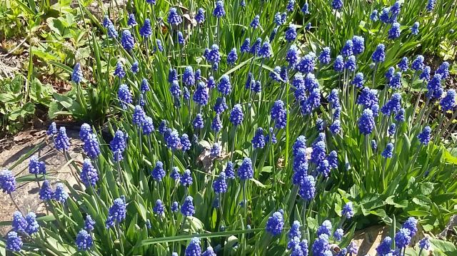 2015-05-12 00.21.53.jpg