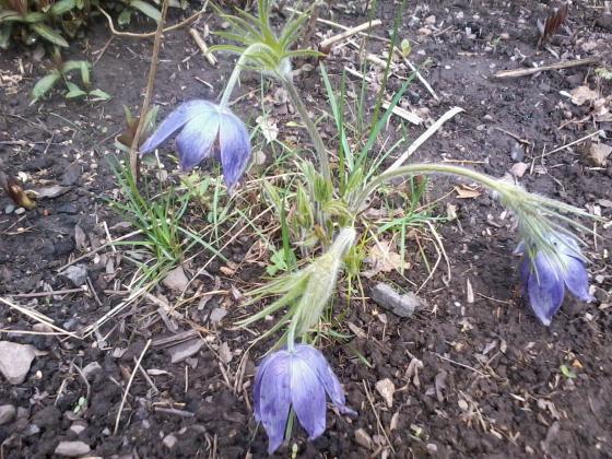 Фото-0114.jpg