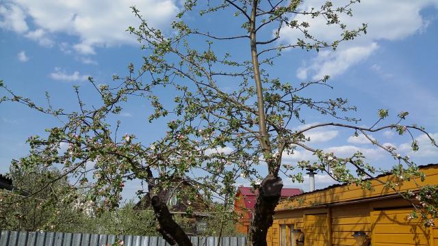 20160509_143636.jpg