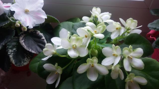 20160501_134650.jpg
