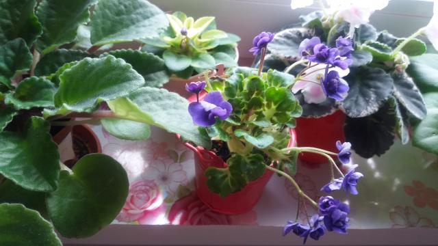 20160501_134731.jpg