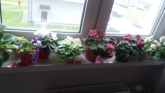 20160501_134753.jpg