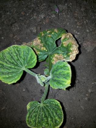 20160525_213820.jpg