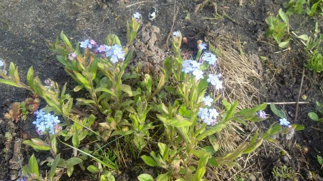 20170523_174148.jpg