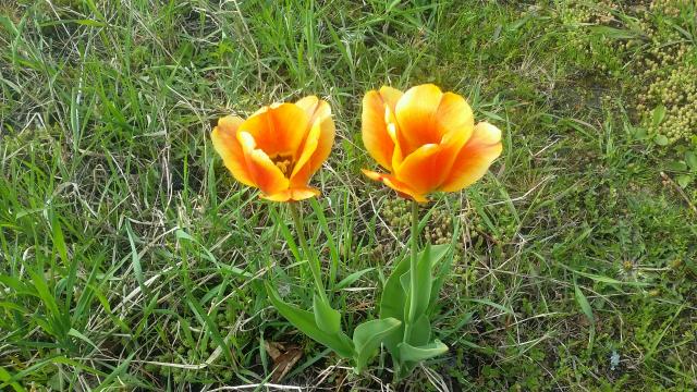 20170523_174041.jpg