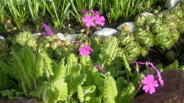 20170523_174220.jpg