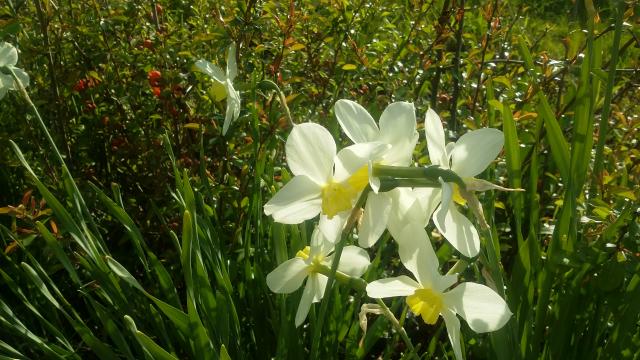 20170523_175041.jpg