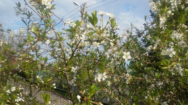 20170523_174926.jpg