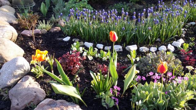 20170521_184038.jpg
