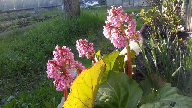 20170521_184415.jpg