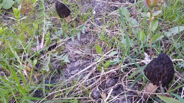 20170514_195018.jpg