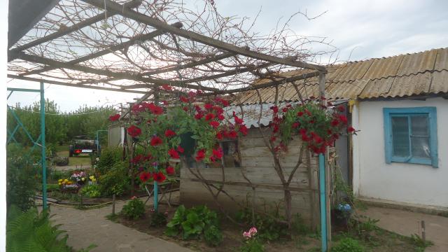 DSC09659.JPG