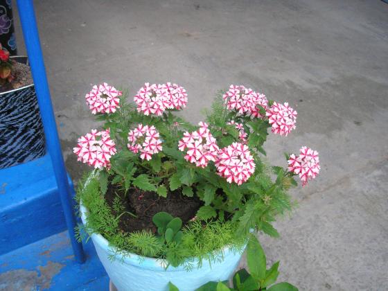 P1010020.JPG